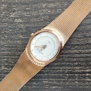 Skagen Rose Gold Mesh Women's Watch